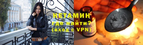 шишки Кодинск