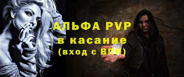 шишки Кодинск