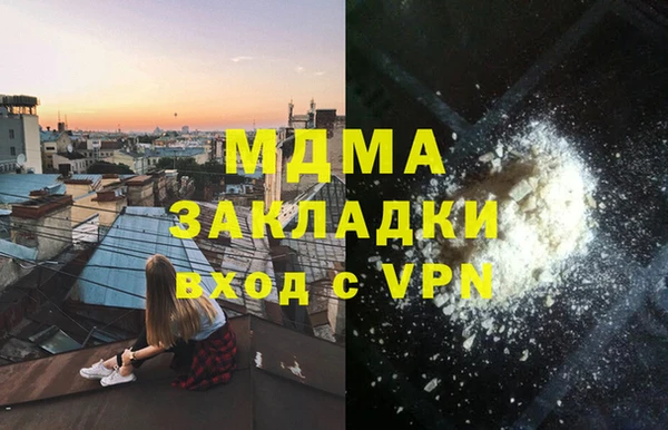 шишки Кодинск