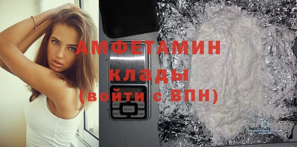 шишки Кодинск