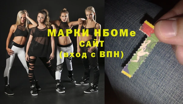шишки Кодинск