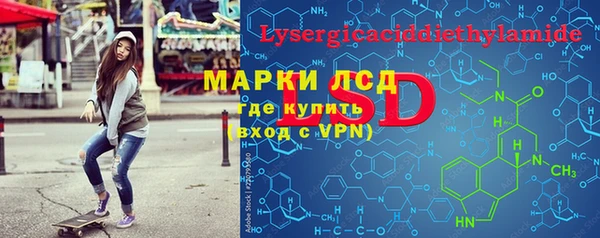 шишки Кодинск