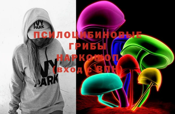 герыч Козловка