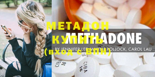 шишки Кодинск